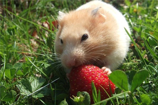 好聽的小名:吳憶遠(yuǎn)