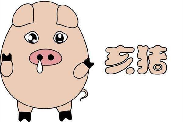 萬花茶的姓名打分結(jié)果_萬花茶五行分析