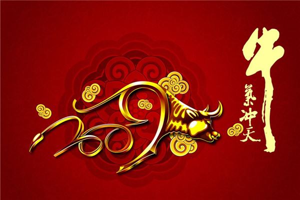 何羽童的姓名打分結(jié)果_何羽童五行分析