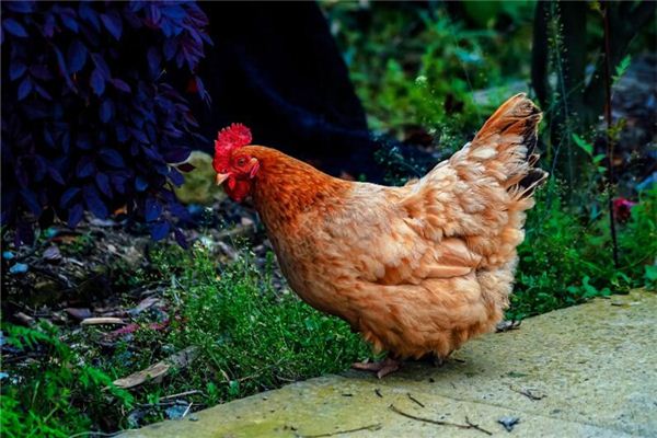 李鐘瑞的姓名打分結果_李鐘瑞五行分析