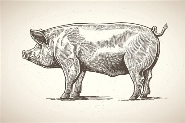 馬年給孩子起名字大全