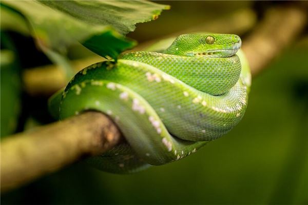寓意取名起名_杜唯煒  第1張