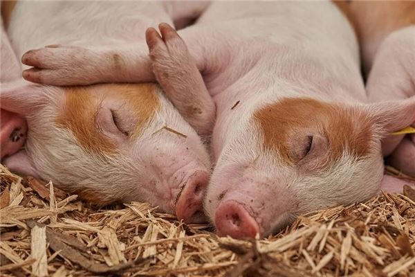 朱品燕的姓名打分結果_朱品燕五行分析