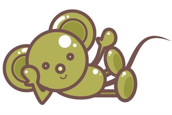 趙貴賢的姓名打分結(jié)果_趙貴賢五行分析