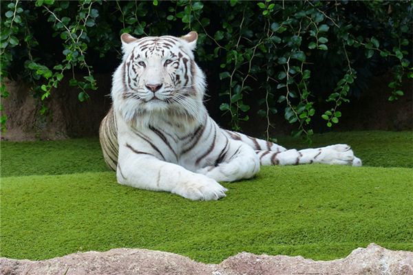 神武個性情侶名字