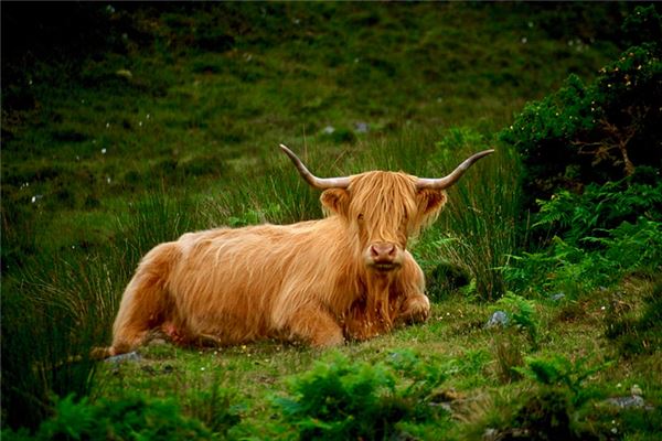 名字推薦_孫子楠