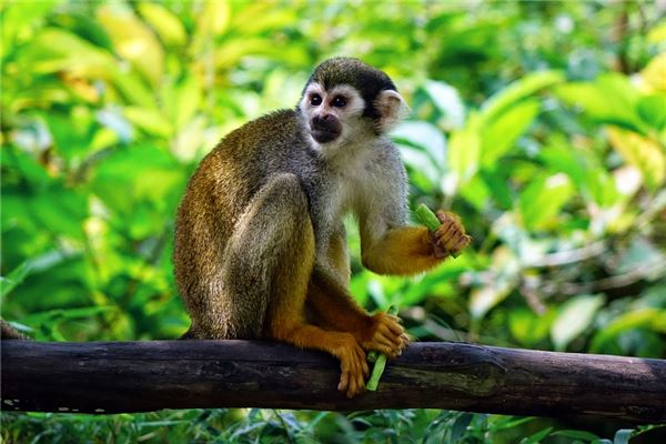 求天龍八部游戲名字