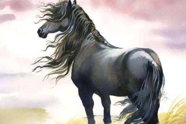 姓名張國舉打分得分_取名張國舉五格分析