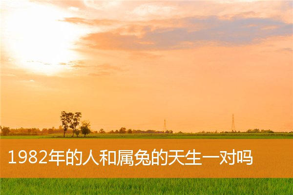 林珈安的姓名打分結果_林珈安五行分析