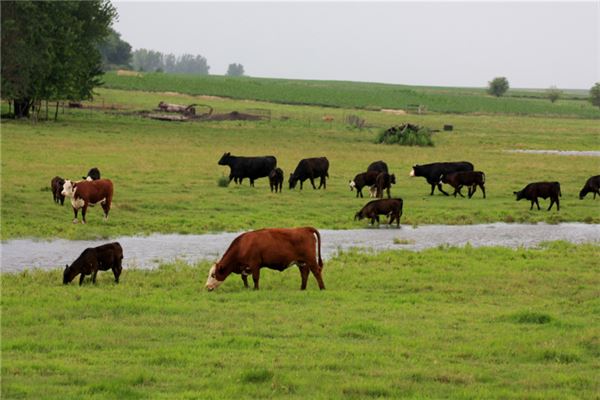 取名禁忌_周頤然