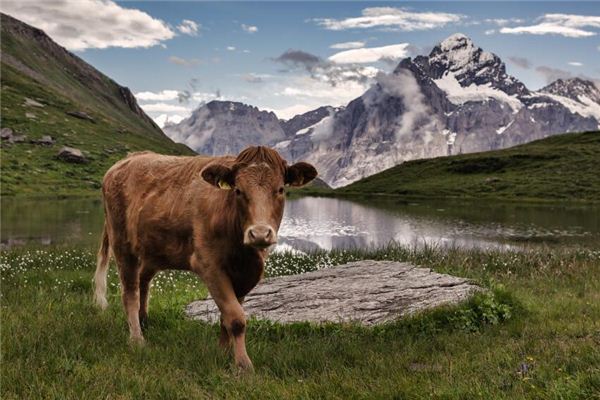 公司起名_生辰八字起名字