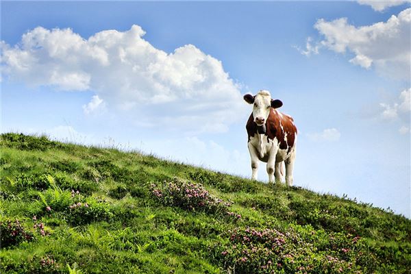 名字推薦_周覓云