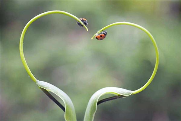 積極向上的微信名字