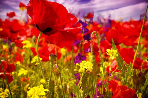 董旭彬的姓名打分結果_董旭彬的姓名五行分析