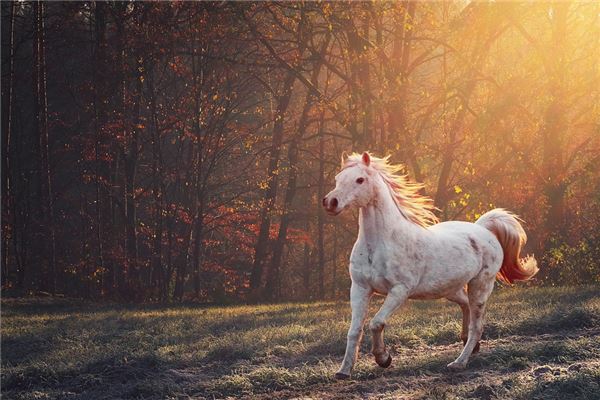 寶寶取名打分:吳愜