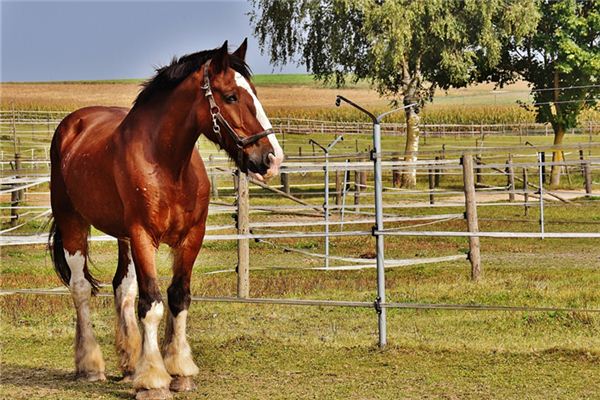 任聰聰的姓名打分結果_任聰聰五行分析