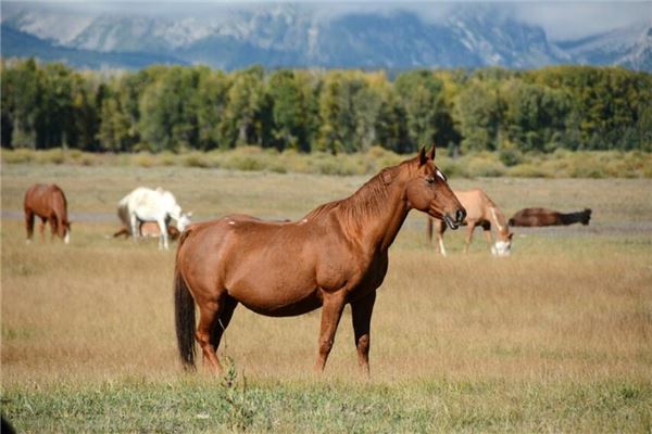 名字推薦_qq帥氣名字