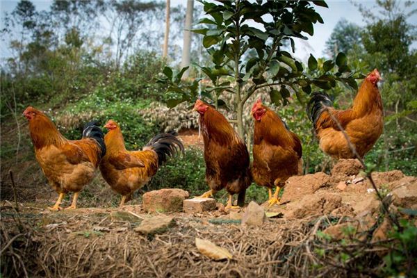 寶寶取名_小名創意新穎不要疊字