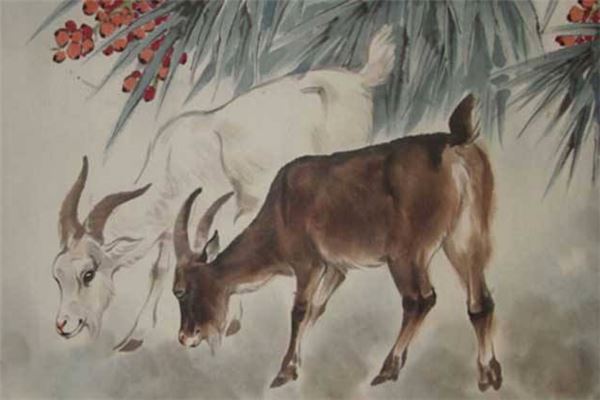 專業取名_如何給公司取名字