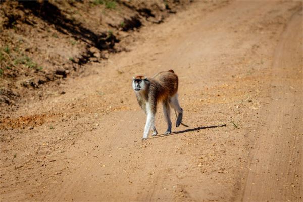 顧中發的姓名打分結果_顧中發的姓名五行分析