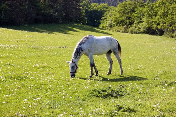 好聽的名字_周遠