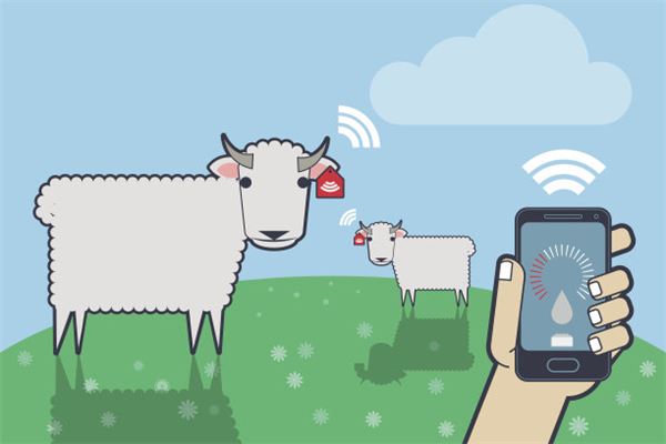 如何取名_張辛亮