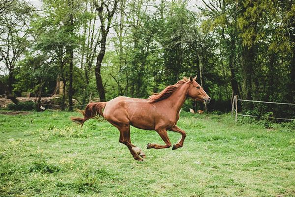 免費取名_男寶寶名稱大全