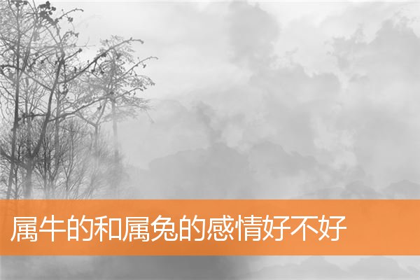 男馬寶寶取名字大全