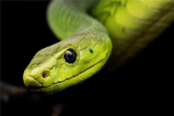 徐涅沙的姓名打分結(jié)果_徐涅沙五行分析