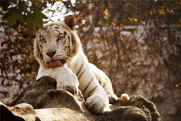 免費取名_錢天韻