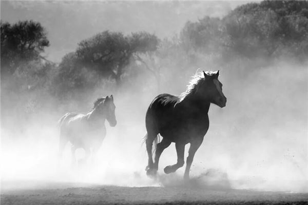 免費(fèi)起名：帶有雨字的女孩名