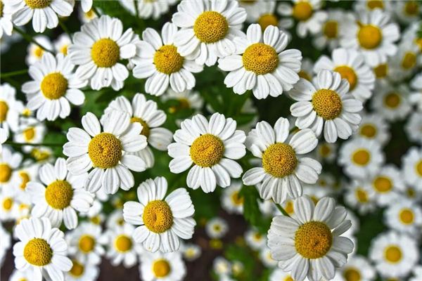 寶寶取名_起名測名大師起名