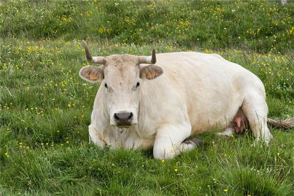 免費取名_孫祺福