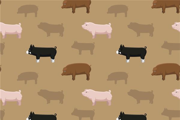 專業(yè)取名_孫冷雪