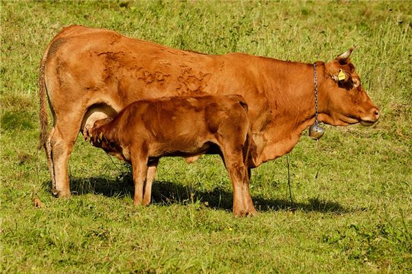 李振智的姓名打分結果_李振智五行分析