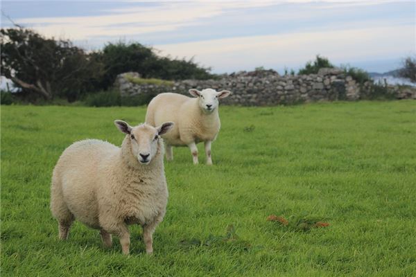 取名禁忌_周慕晴