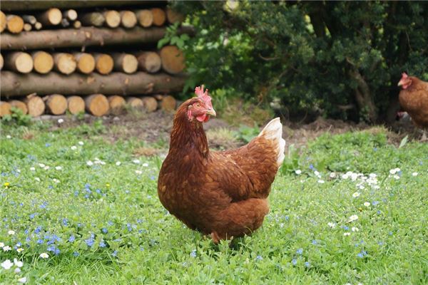 許為平的姓名打分結果_許為平五行分析