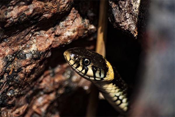 錢煦的姓名打分結果_錢煦五行分析