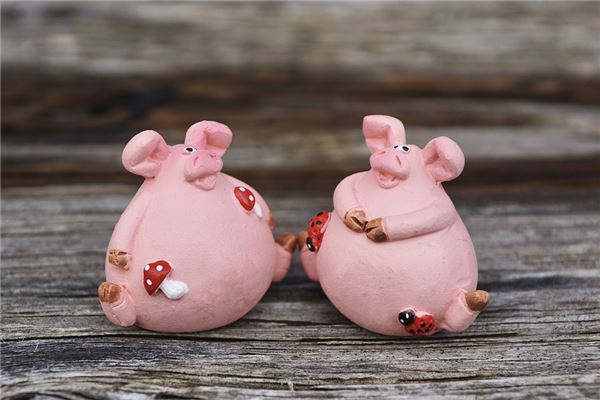 姓氏取名_周映波