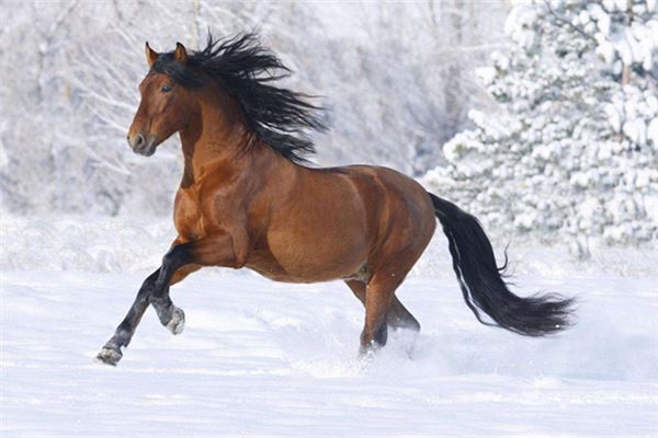 免費(fèi)起名_寶寶名字測試