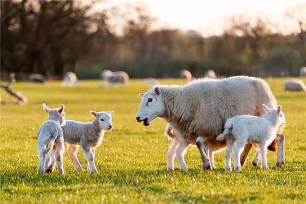 好聽的名字推薦_秦姓男孩起名
