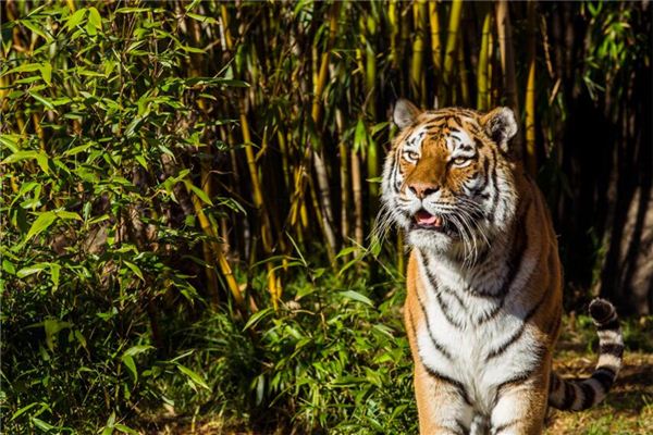 得分測試_鄭凝荷