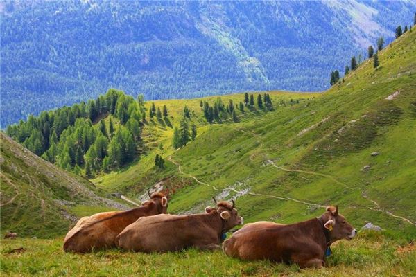 姓名筆畫得分_愛機寶