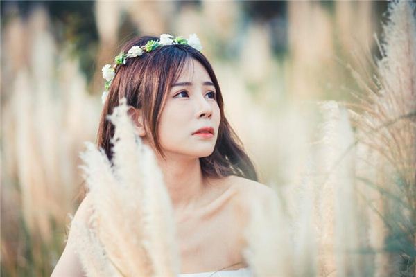 段力引的姓名打分結果_段力引的姓名五行分析