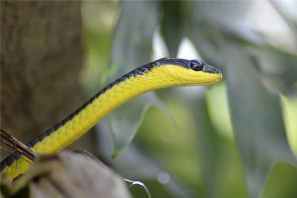 宋密秋的姓名打分結(jié)果_宋密秋五行分析