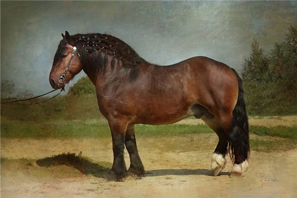 好聽(tīng)的名字_快餐店名字