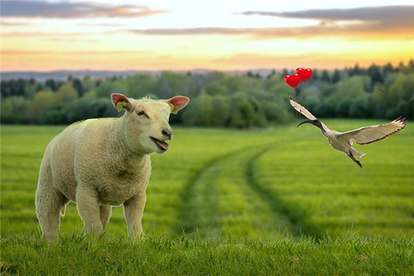 寶寶取名_涵字取名的寓意是什么