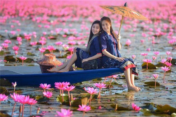 五行八卦_寶寶名字大全2021