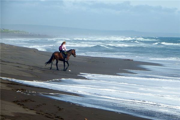 姓氏取名_周曉楠