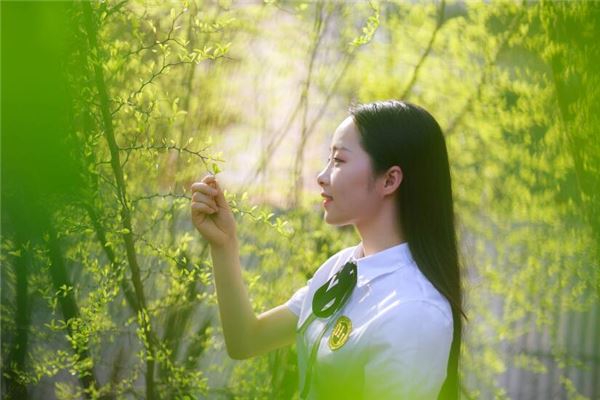 浩楠名字的意義理解